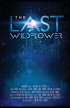 Постер «The Last Wildflower»