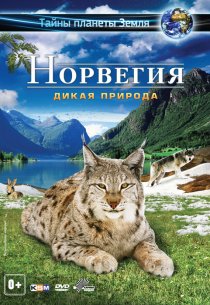 «Норвегия 3D: Дикая природа»