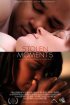 Постер «Stolen Moments»