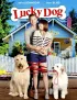 Постер «Lucky Dog»