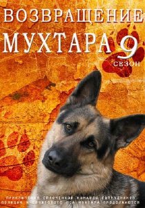 «Возвращение Мухтара 9»