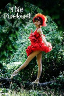 «The Firebird»