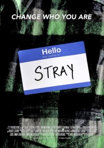 «Stray»