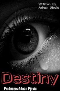 «Destiny»