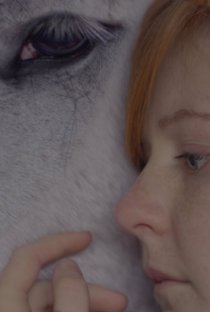 «The Wishing Horse»