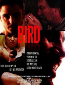 «Bird»