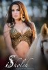 Постер «Sholeh»