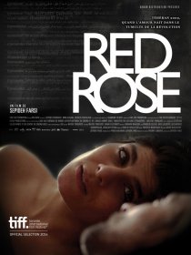 «Red Rose»