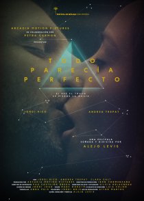 «Все, казалось, идеально подходит»