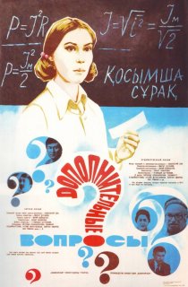 «Дополнительные вопросы»