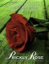 Постер «Prickly Rose»