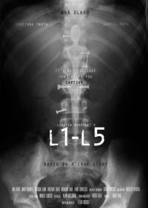 «L1-L5»