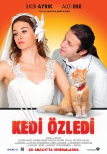 «Кошки были пропущены»