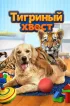 Постер «Тигриный хвост»