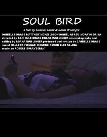 «Soul Bird»