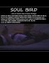 Постер «Soul Bird»