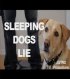 Постер «Sleeping Dogs Lie»
