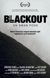 «Blackout: On Swan Pond»