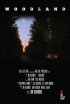 Постер «Woodland»