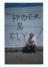 Постер «Spider & Fly»