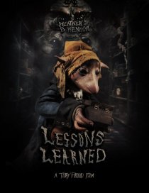 «Lessons Learned»
