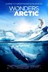 Постер «Чудеса Арктики»