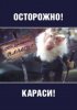 Постер «Осторожно, караси!»