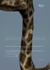 Постер «Washingtonia»