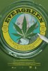 Постер «Evergreen: The Road to Legalization in Washington»