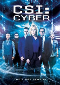 «CSI: Киберпространство»
