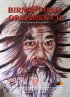 Постер «Бирмингемский орнамент 2»