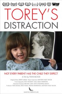«Torey's Distraction»