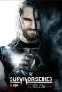 Постер «WWE Серии на выживание»