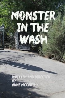 «Monster in the Wash»