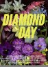 Постер «Diamond Day»