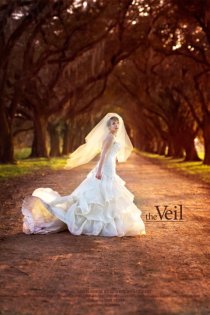«The Veil»