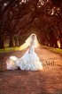 Постер «The Veil»