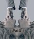 Постер «Swell»