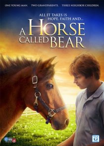 «A Horse Called Bear»