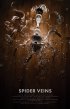 Постер «Spider Veins»