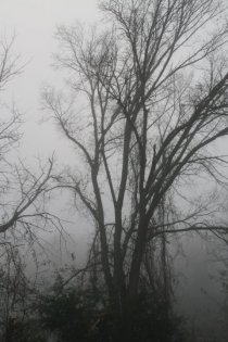«A Haunting in Arkansas»