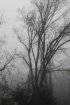 Постер «A Haunting in Arkansas»
