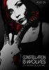 Постер «Constellation 13 Wolves»