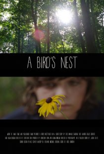 «A Bird's Nest»