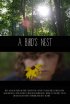 Постер «A Bird's Nest»