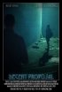 Постер «Decent Proposal»