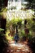 Постер «Wondrous»