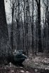 Постер «Mordy»