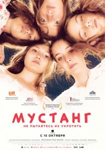 «Мустанг»