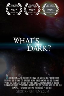 «What's in the Dark?»